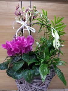 Cesta con plantas naturales