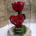 Cúpula bella y la bestia