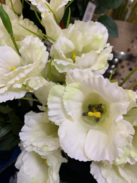 Lisiantum blancos