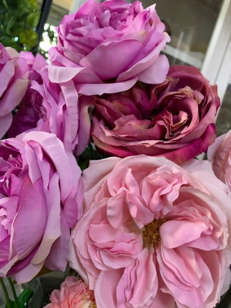 Rosas inglesas abiertas